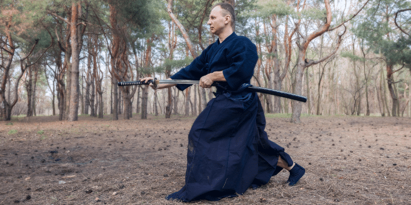 Iaido