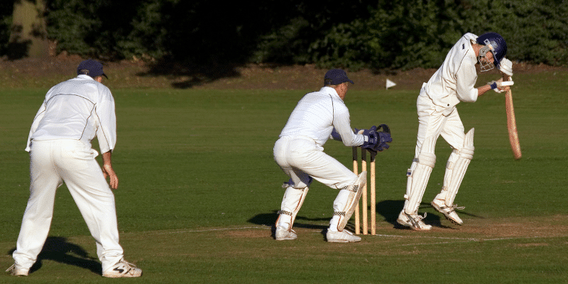 Cricket