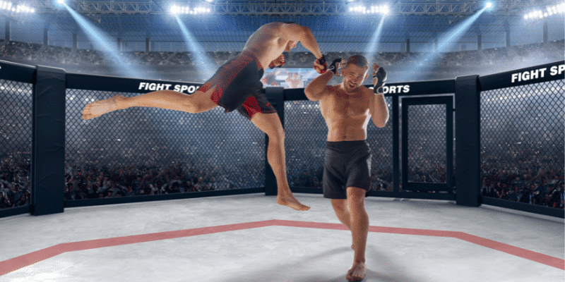 Mixed Martial Arts