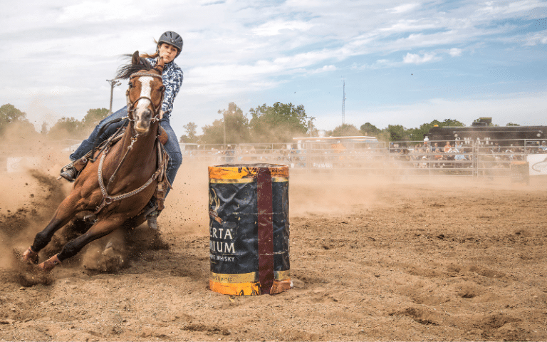 Best Rodeo Team Names