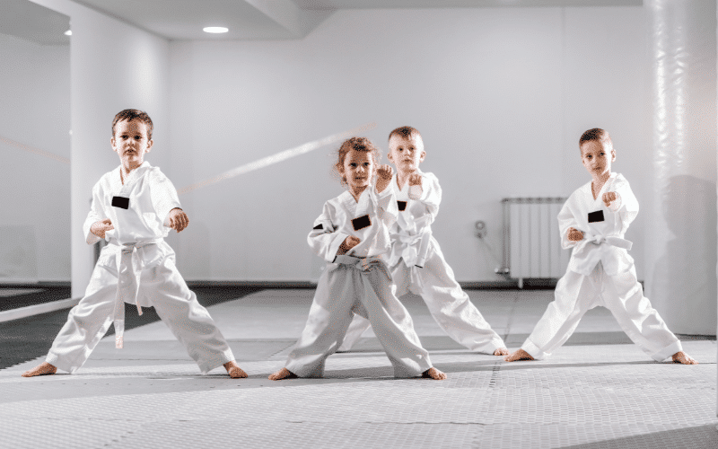 301 Taekwondo Team Names Funny Cool Puns 301 Taekwondo Team Names Funny Cool Puns