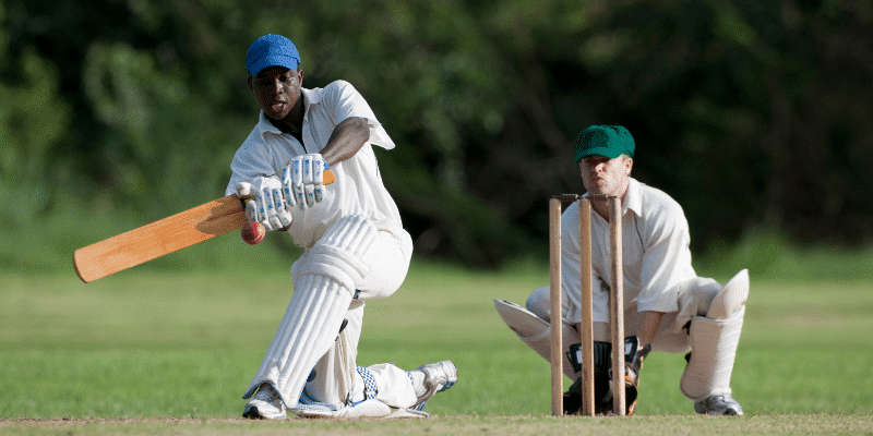 Cricket