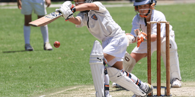 Cricket