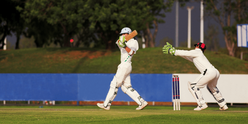 Cricket