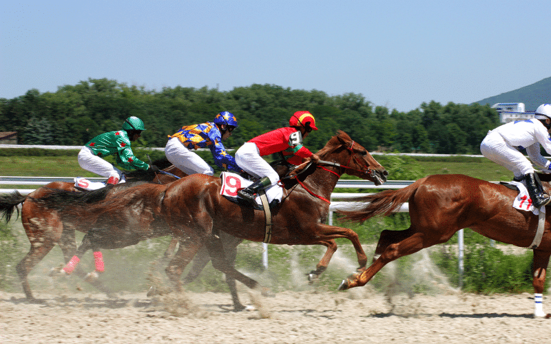 Best Horse Racing Team Names