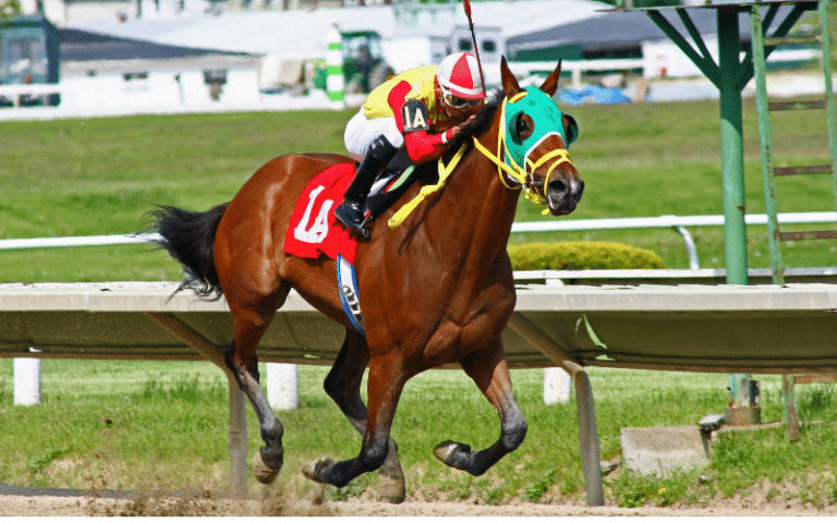 Equestrian Sport