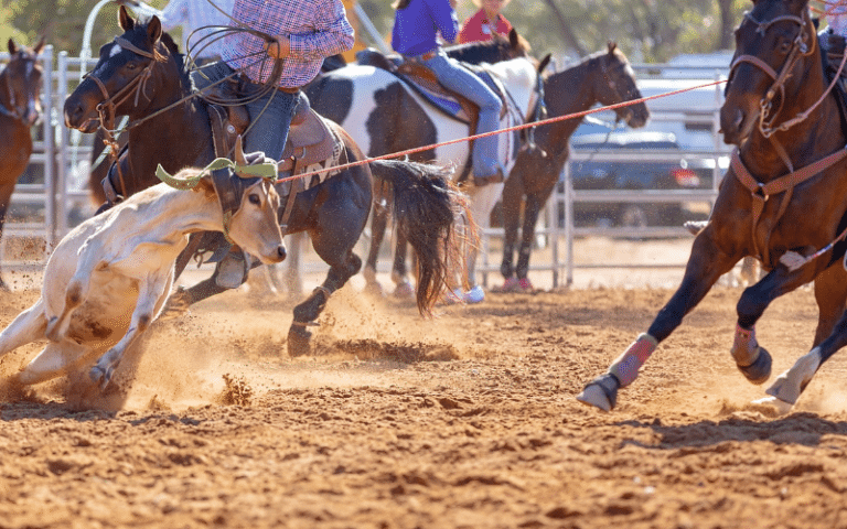 Most Important Rodeo Tournaments