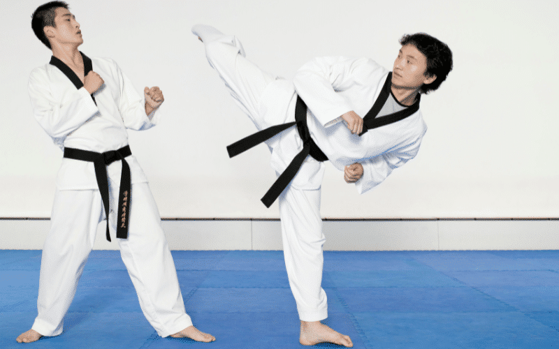 National Sport of South Korea