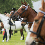 National Sport of Argentina
