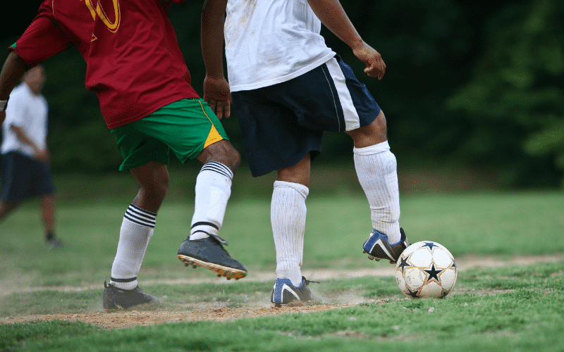 National Sport of Cameroon