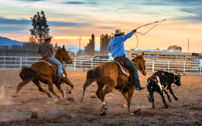 National Sport of Chile