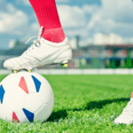 National Sport of France