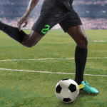National Sport of Ivory Coast