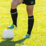 National Sport of Serbia