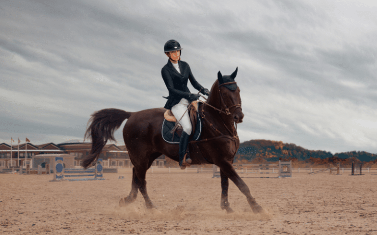 Best Equestrian YouTube Channels