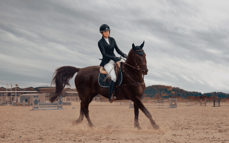 Best Equestrian YouTube Channels