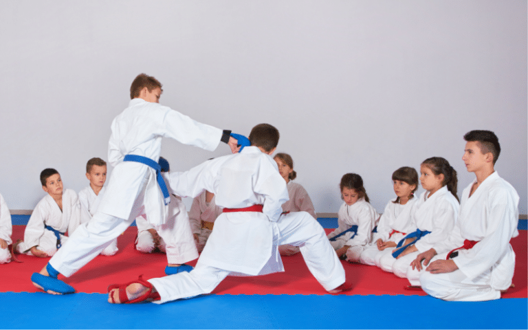 Karate History