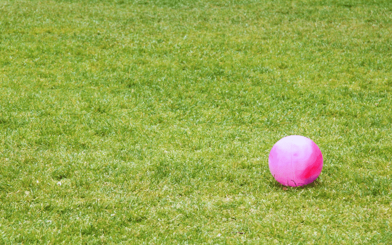 Kickball History