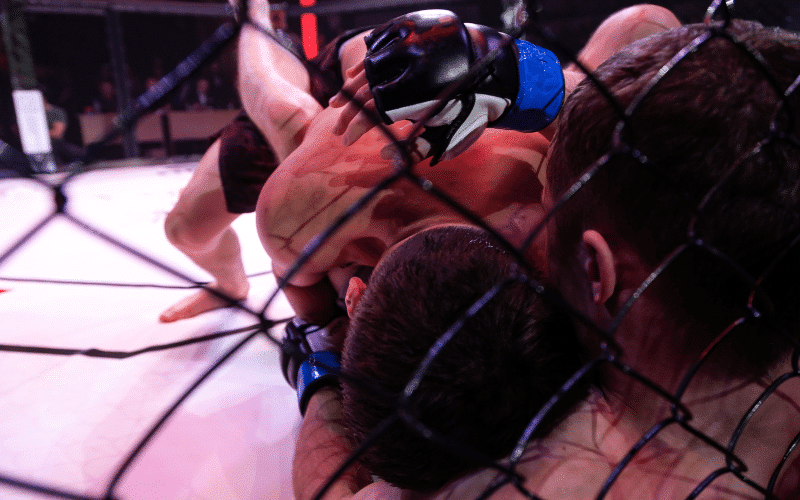 Mixed Martial Arts History