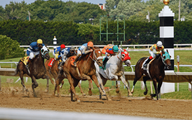 Best Horse Racing Players