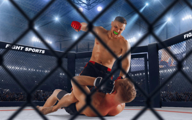 Best Mixed Martial Arts Fighters