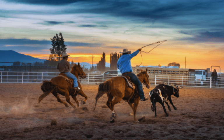Best Rodeo Players