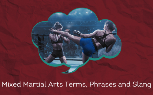 30 Must-Know Mixed Martial Arts Terms, Phrases and Slang