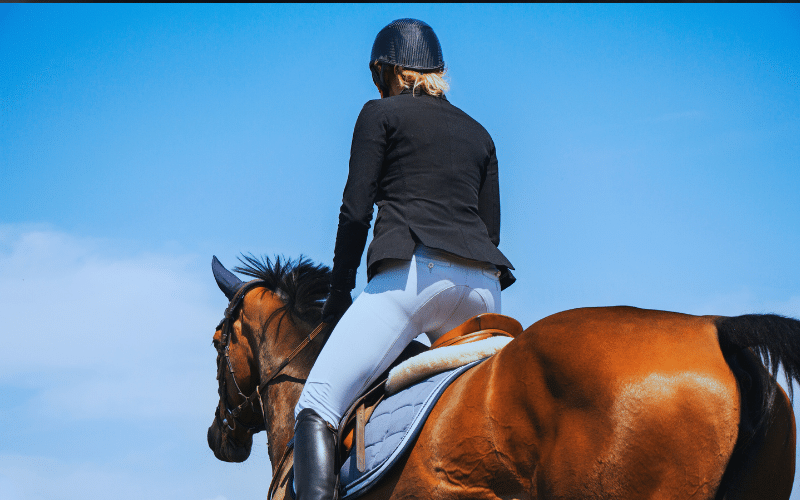 Best Equestrian Players