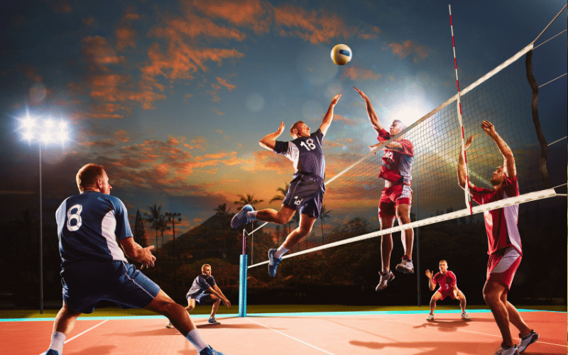 Best Volleyball Players