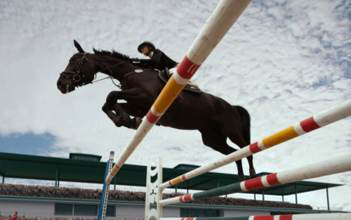 11 Countries Where Equestrian is Most Popular (Ranked)