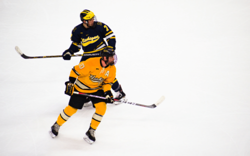 11 Countries Where Ice Hockey is Most Popular (Ranked)