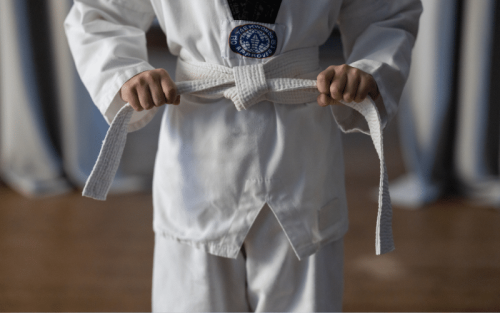 11 Countries Where Taekwondo is Most Popular (Ranked)