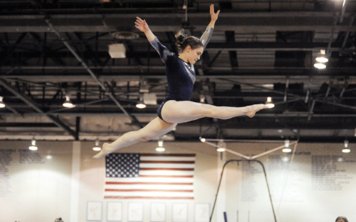 Top 11 Best Brands for Gymnastics in the World