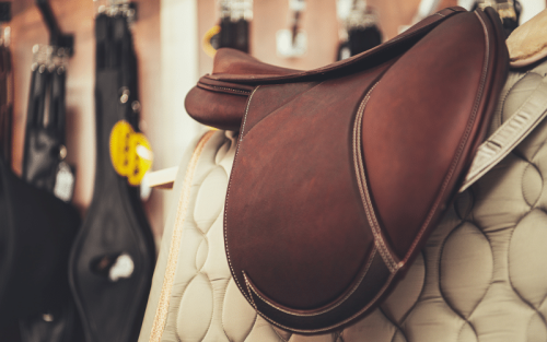 Top 11 Best Brands for Horse Racing in the World