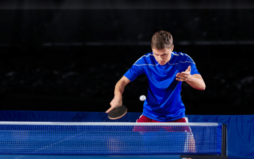 Top 11 Best Brands for Table Tennis in the World