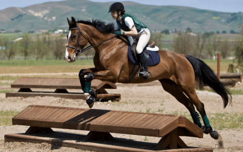 30 Must-Know Equestrian Terms, Phrases and Slang