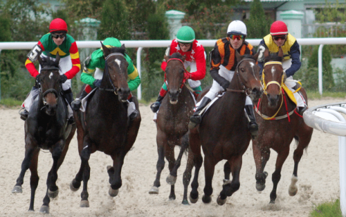 Horse Racing Equipment List: 20 Items (with Pictures)